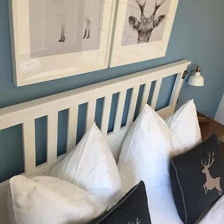 Luxury Mountain Apartman Gmunden